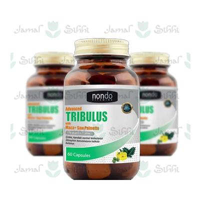 Advanced Tribulus كبسولات في لبنان